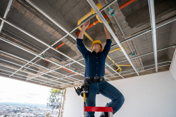 Best Toilet Repair Services  in Ama, LA